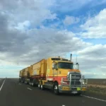 reefer truck-lading logistics